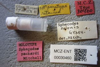 Media type: image;   Entomology 30460 Aspect: labels